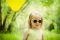 Солнцезащитные очки для детей Babiators - Привет (жёлтые)