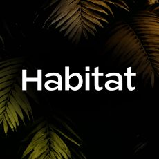 Массажная студия Habitat